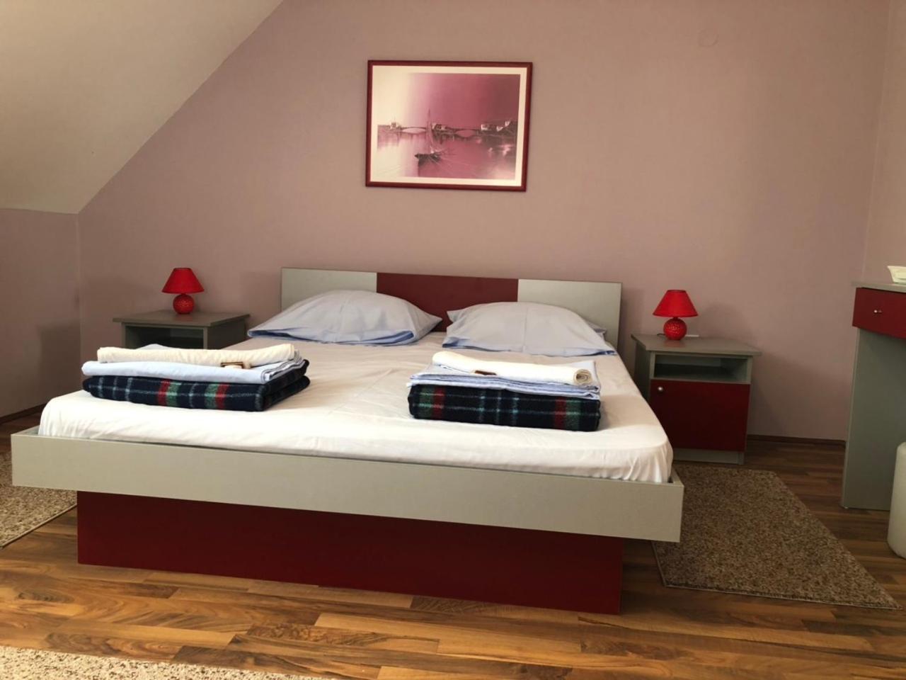 Guest House Aleksandra Bajina Basta Extérieur photo